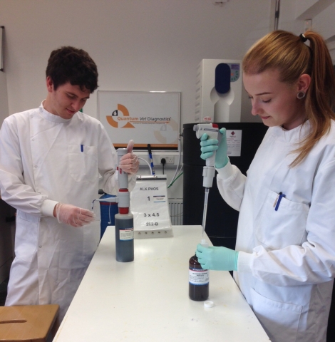 Lauren in foreground with old style pipettor for dispensing reagents and Chris with new bottle top dispenser.