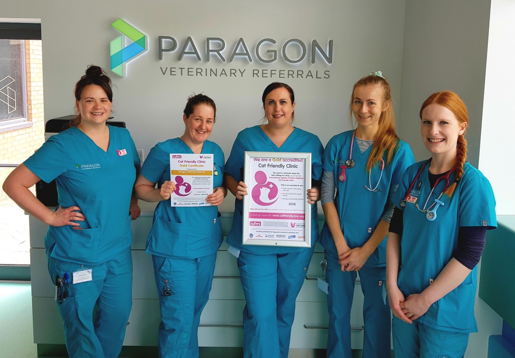 The team at Paragon celebrate being awarded cat-friendly status. L-R Kirsty Clark, Kelly Bywater, Stacy Carlton, Lydia Barry and Maddie Enderby. 