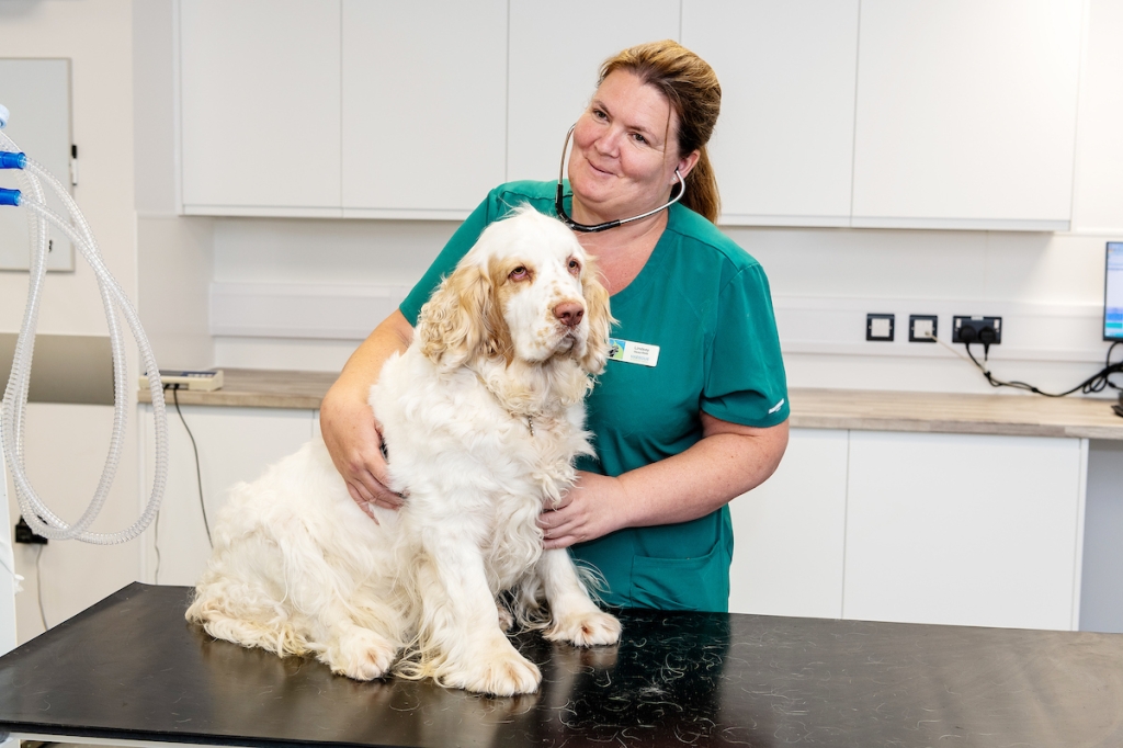 CVS holds first cardiology CPD event across multiple referral centres / Veterinary Industry News