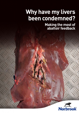 Norbrook Abattoir Guide - Why have my livers been condemned?