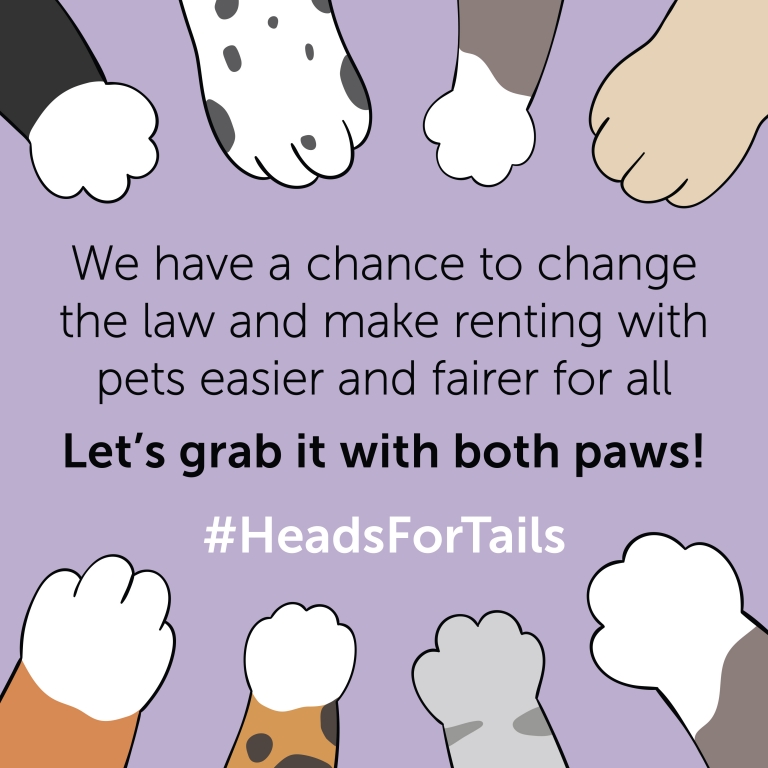 Both Paws poster graphic