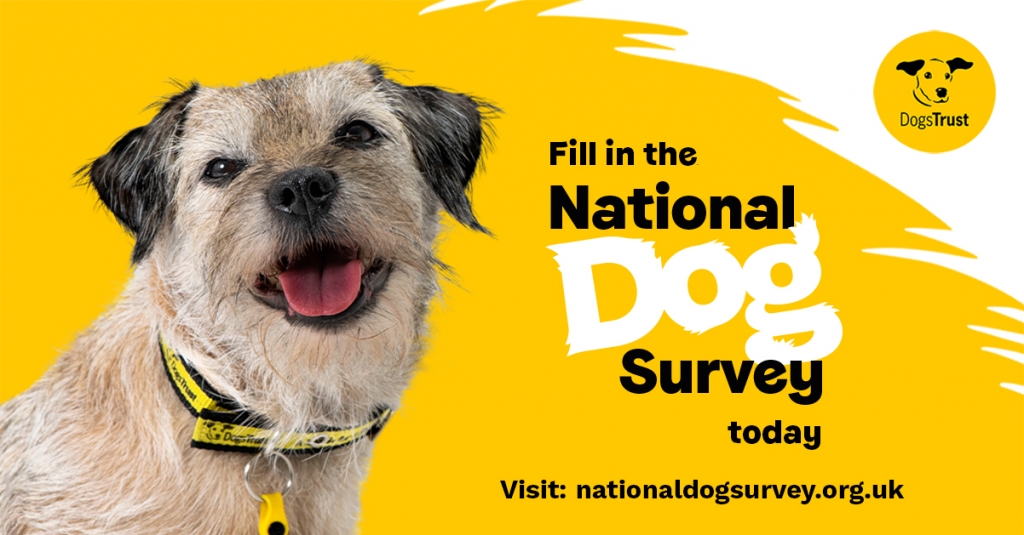 The National Dog Survey banner