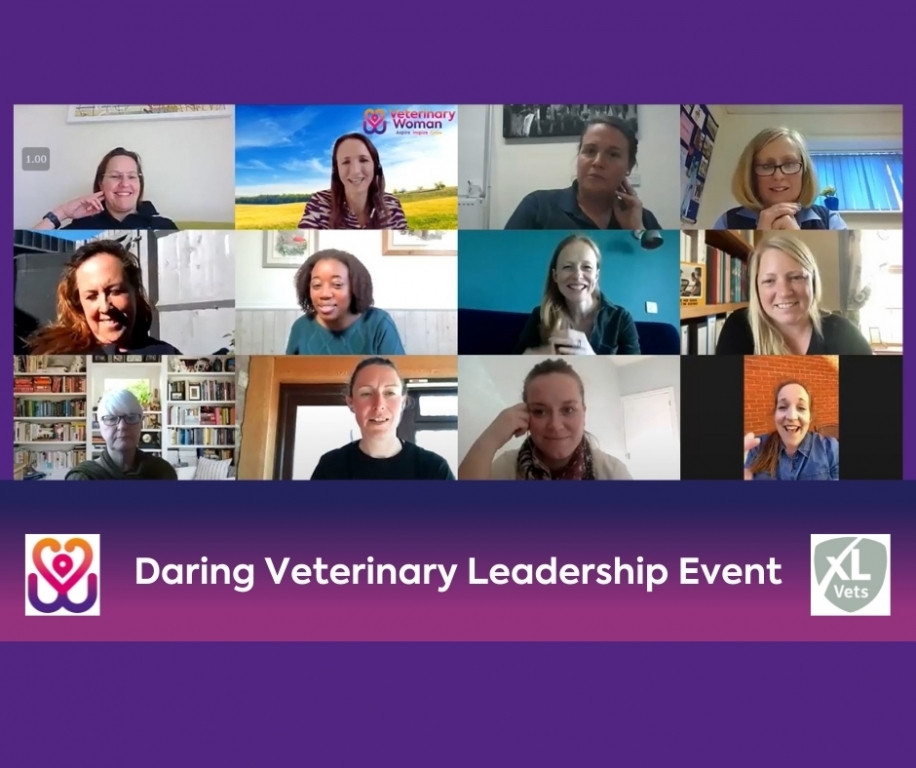 Role model sessions featured inspiring women from across the veterinary sector