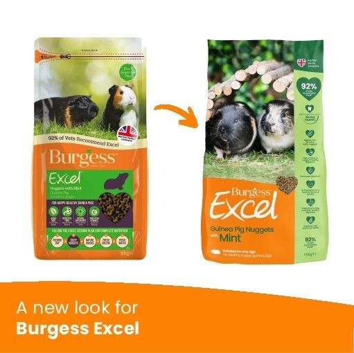 Pack shot - A new look for Burgess Excel