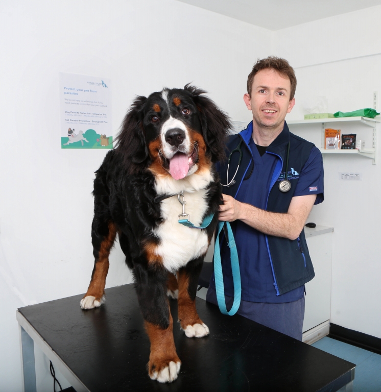 Photo of Owen Monie in consulting room with dog