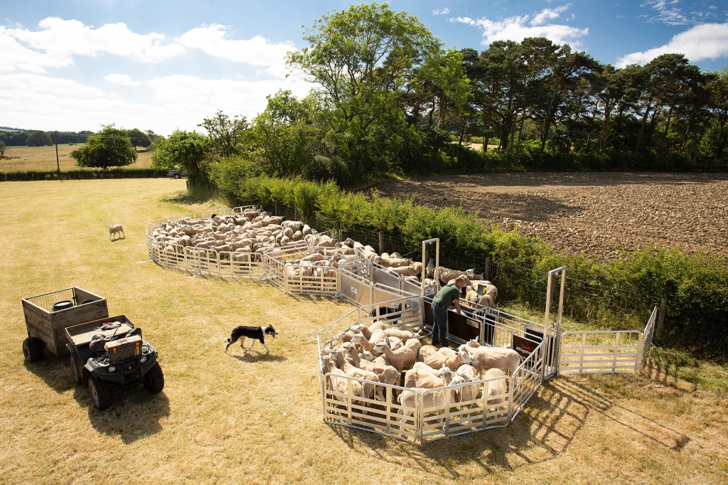 Alligator PRO 500 in field taken from overhead drone camera