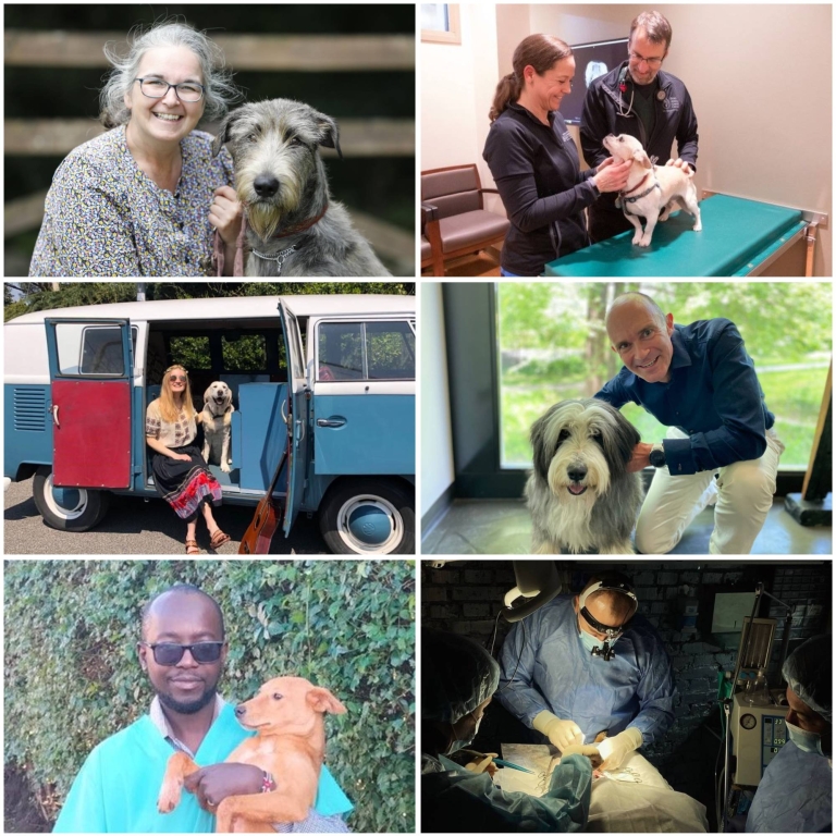 Composite image of 2023 International Canine Health Award winners