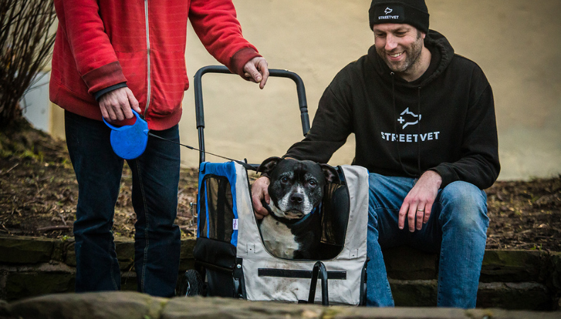 Pet Health Club have announced a campaign to donate £1 to StreetVet for every new subscriber in March 2024