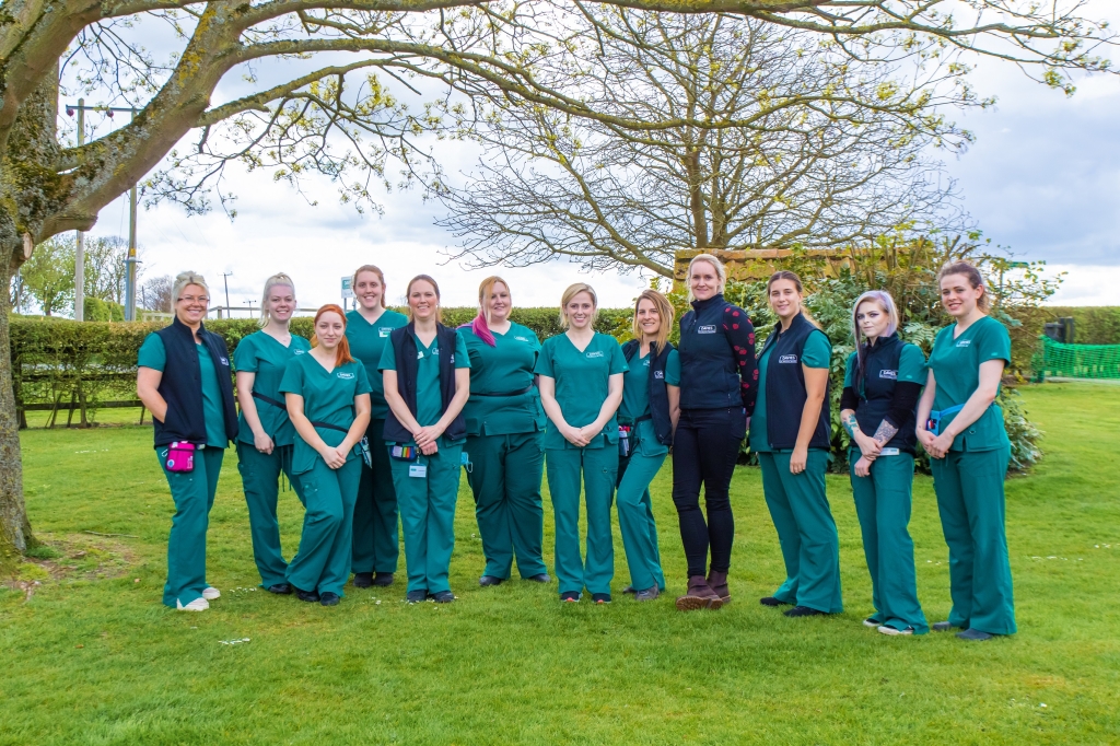 Davies Veterinary Specialists, in Hitchin, Hertfordshire, is offering an ‘Access All Areas’ opportunity at its open day for vet nurses on Saturday, January 28. 