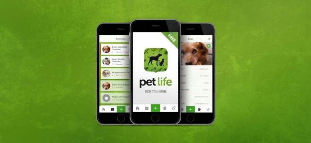 Graphic of app on mobile phone screens