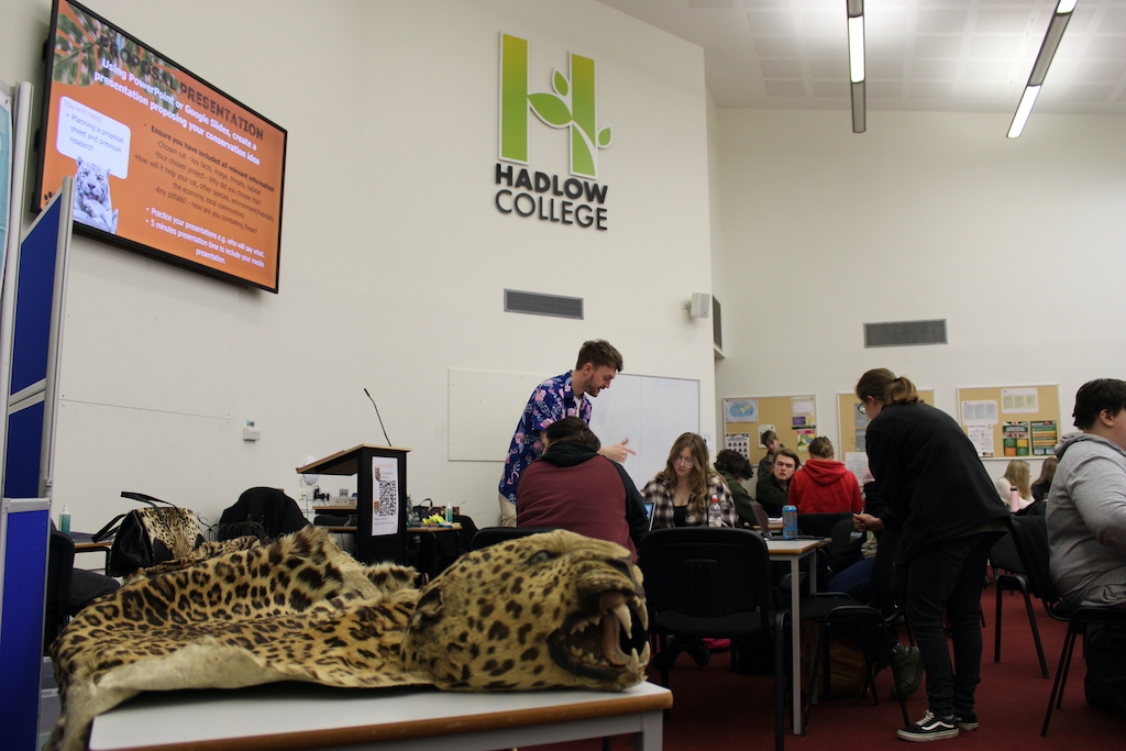 Students at Big Cat Week, and a leopard skin on the table in the foreground