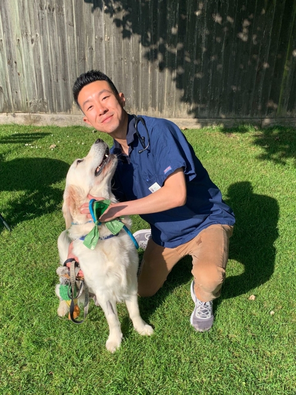 Justin Lee, who is on the Linnaeus Graduate Development Programme and working at their Village Vet practices in Cambridgeshire, taking charge of his first solo exploratory laparotomy.