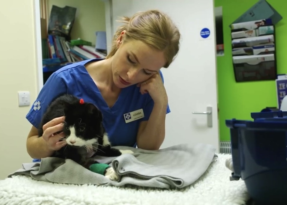 Dr Louisa Lane is the clinic director at White Cross Vets in Redcar and is now one of the lead vets on Vet on the Hill