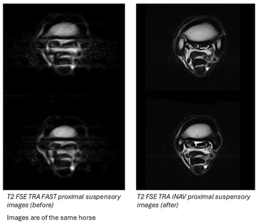 iNAV’s cutting-edge motion correction technology enables clearer and more clinically diagnostic MRI scans as demonstrated by the before (left) and after (right) images here of the same horse. 