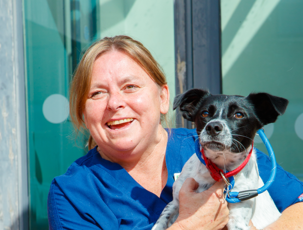 Colleen Gibson has swapped South Africa for the Scottish Borders as she aims to become a veterinary nurse with Linnaeus-owned Greenside Veterinary Practice. 