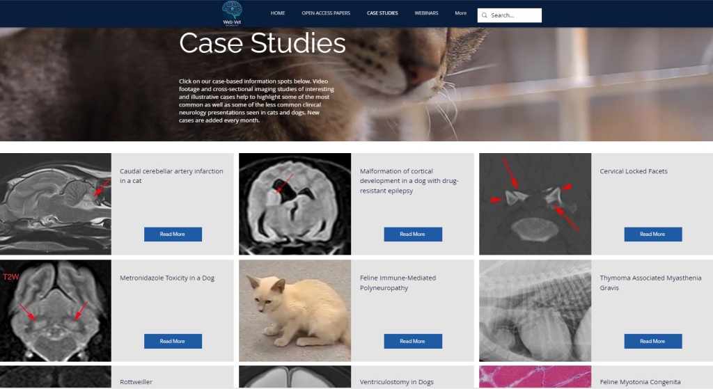A new free veterinary education resource has been launched called web-vetneurology.com