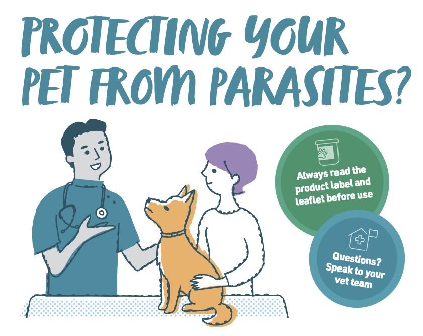 Parasites poster