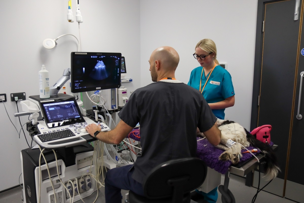 The group is introducing a revised Clinical Advisory Committee supported by twelve new Subject Matter Working Groups