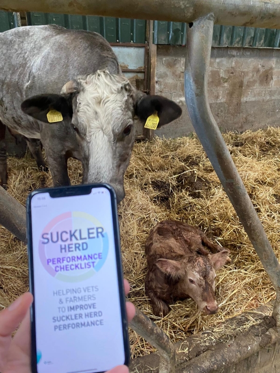 Using the app in the field