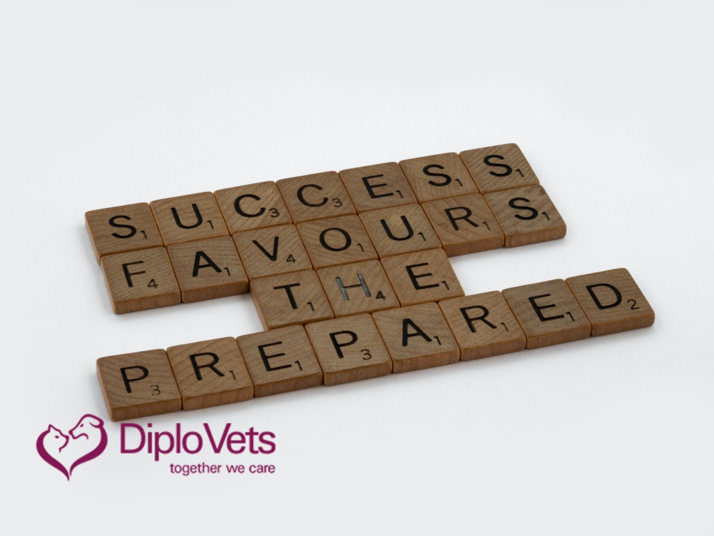 Scrabble blocks spelling out the words &#39;Success favours the prepared&#39;