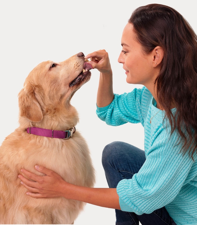 Woman giving dog tablet