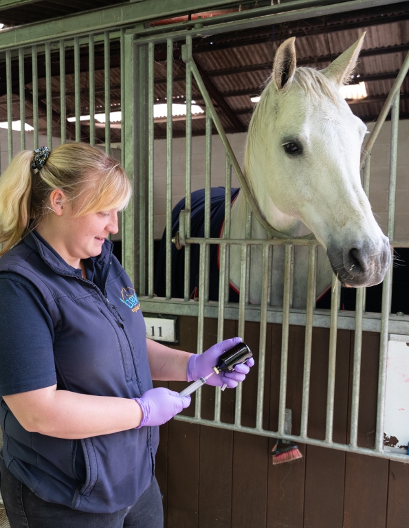 Vet about to administer an injection to a horse in a stable
