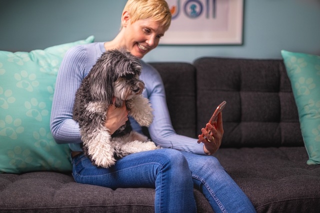 Woman sitting on couch with dog on lap looking at app on mobile phone