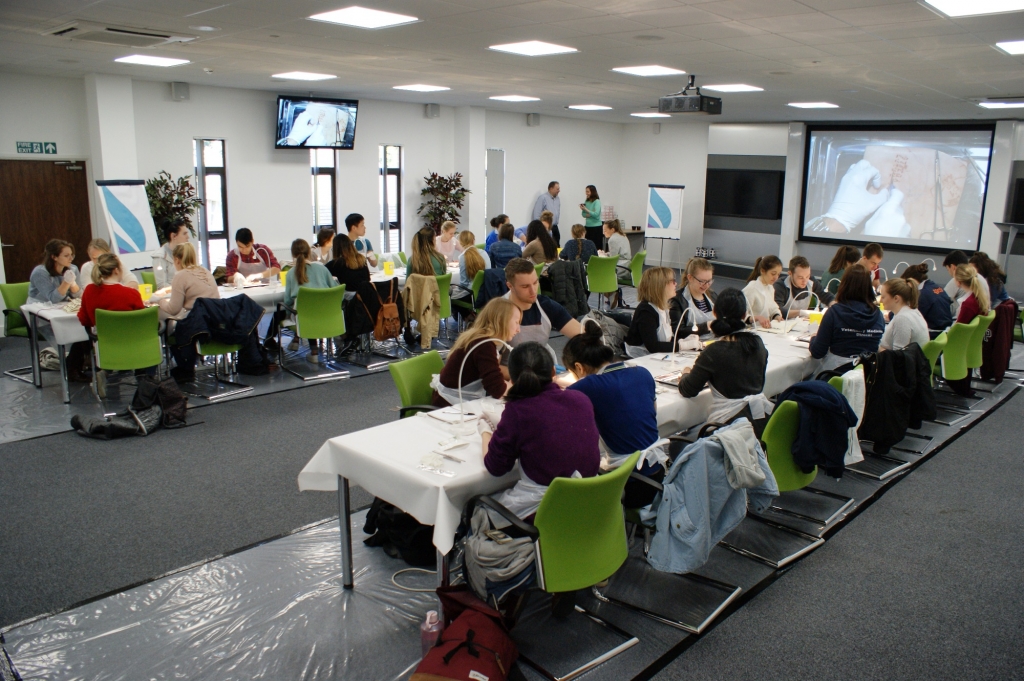 One of the Graduate Academy's Wet Labs