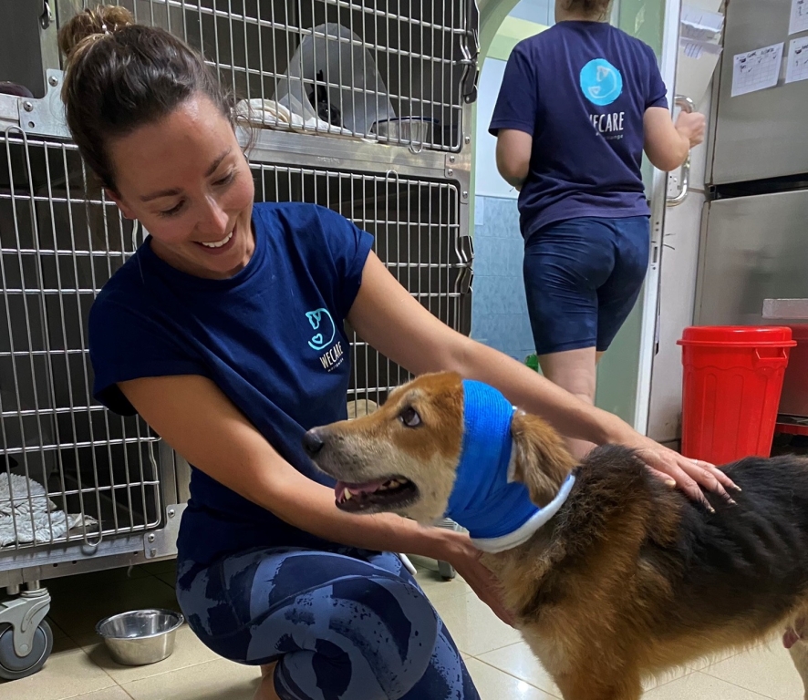 Holly Brown, who is a surgical nurse at Linnaeus-owned London Vet Specialists (LVS) in Belsize Park, spent a month in Sri Lanka working in an animal hospital for the UK-based WECare Worldwide Charity.