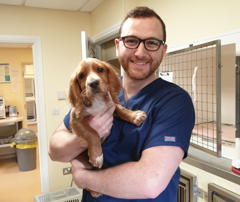 Farnham vets Cathcart and Winn appoint James Cole as new clinical