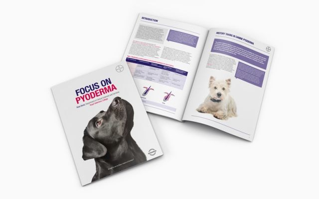 The new Veraflox website is now live at: www.veraflox.co.uk