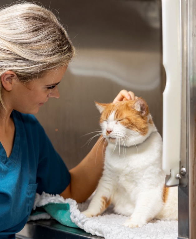 Katie Marlow, student veterinary nurse at Linnaeus-owned Broadway Veterinary Surgery