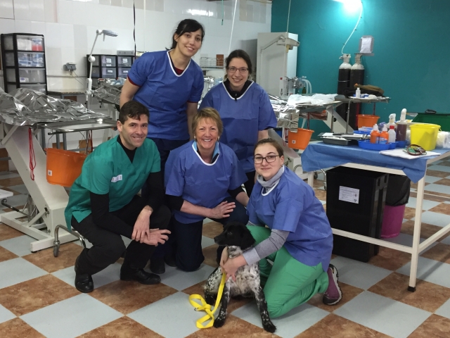 (left to right) top row: Clara Garcia , Mia Kalyvides bottom row - Dr Luis Sainz-Pardo,Dr  Judy Walker, Stefana  Trufin