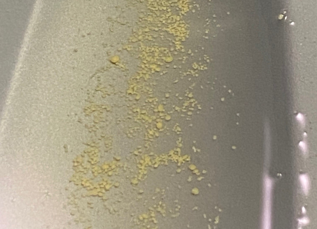 Rip is now pain-free from bladder stones thanks to DWR Veterinary Specialists.