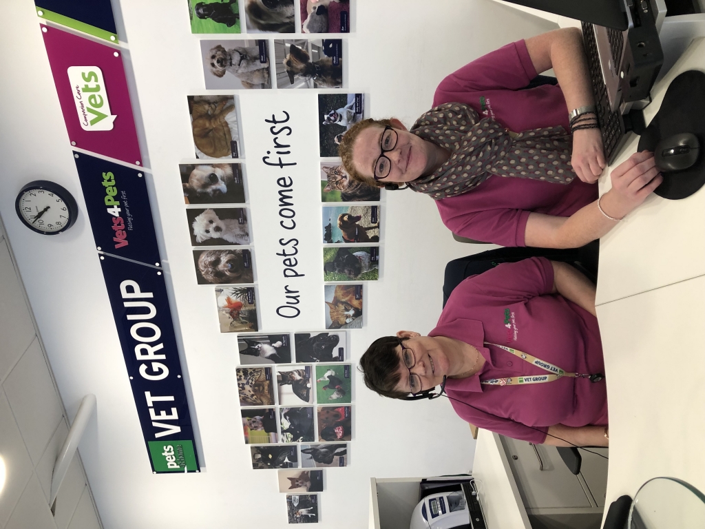 Apprentices Lesley and Emma at Vets4Pets' Support Office in Swindon