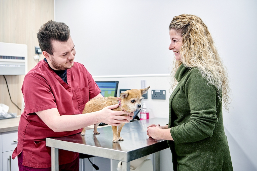 CVS’ Confidence in Consulting will employ a train-the-trainer approach