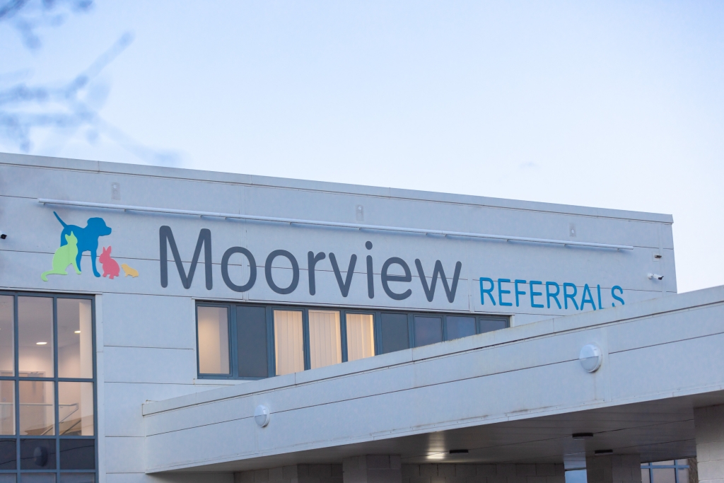 Moorview Referrals in Cramlington