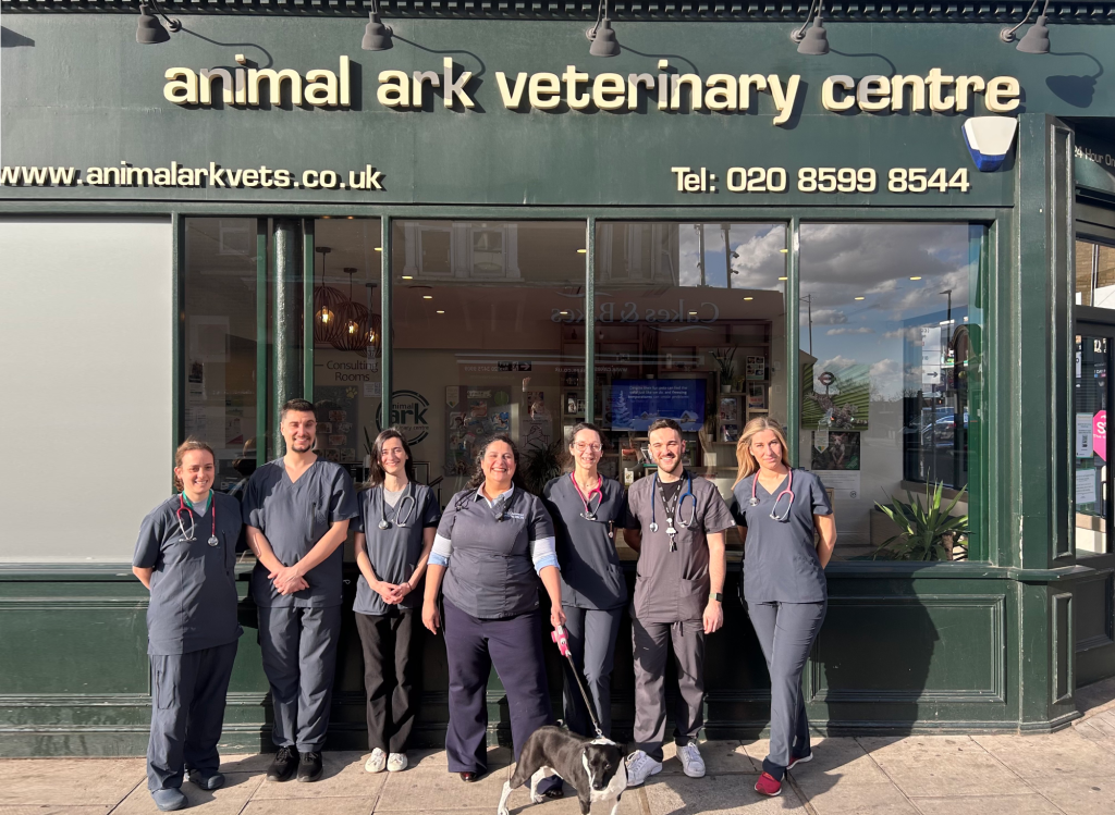 Animal Ark in Ilford is holding a family fun day on Saturday, August 19.