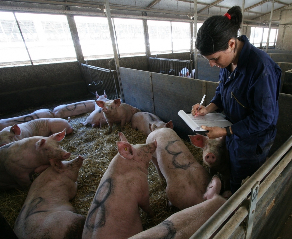 More than 700 students have graduated from the MSc Applied Animal Behaviour and Welfare programme