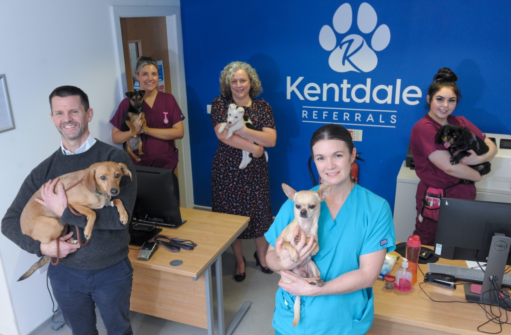 Sustainability efforts at Kentdale rewarded with bronze award