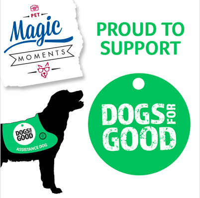 Change your Facebook profile picture to help raise funds for Dogs for ...