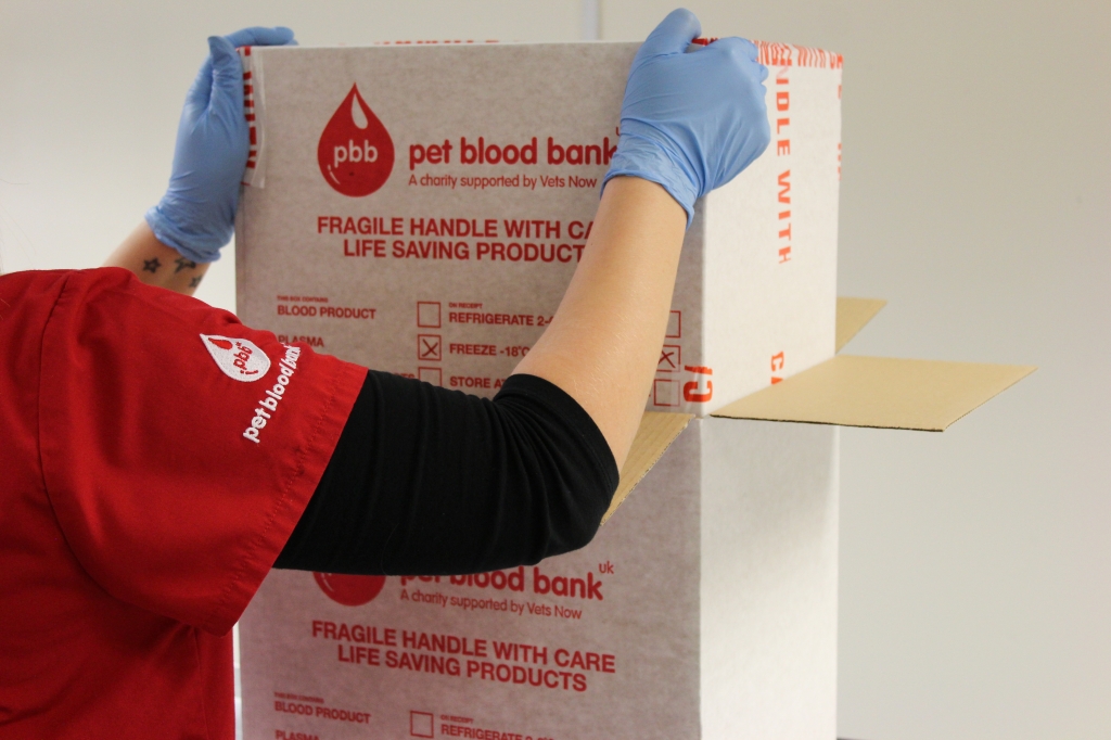 Nurse closing up a blood donation box