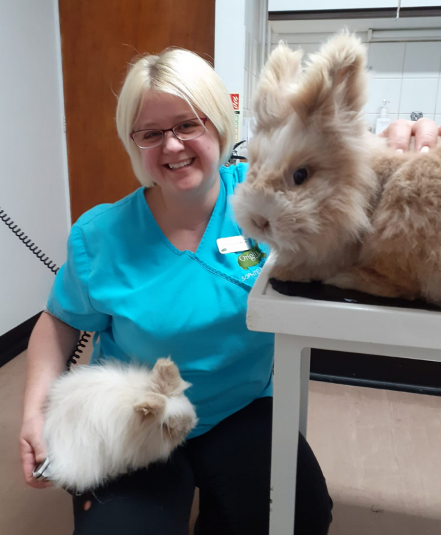 Dr Sophie Jenkins winner of Vet of the Year in 2020