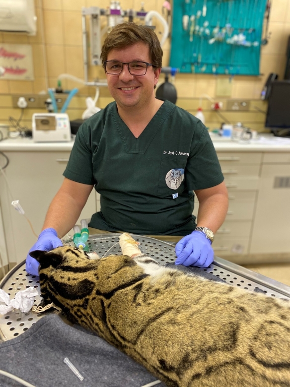 José Carlos Almansa Ruiz