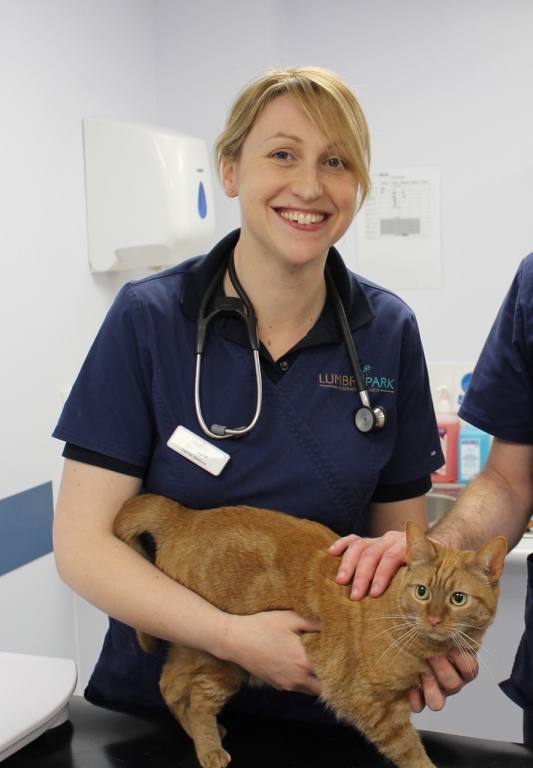 Feline veterinary specialist, Dr Samantha Taylor BVetMed (Hons) CertSAM DipECVIM-CA FRCVS, to discuss the complexities of FIP at HORIBA’s latest online CPD webinar
