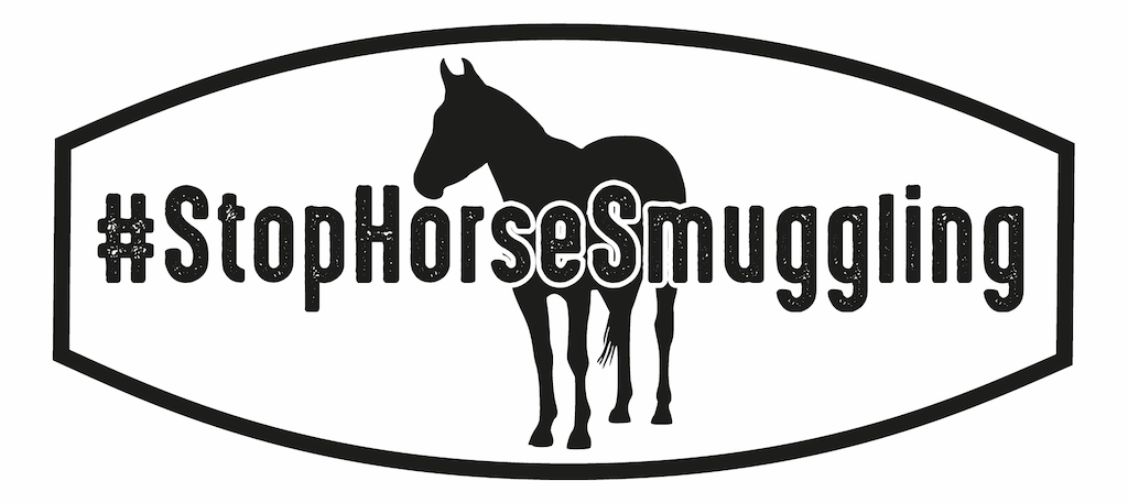 #StopHorseSmuggling campaign logo