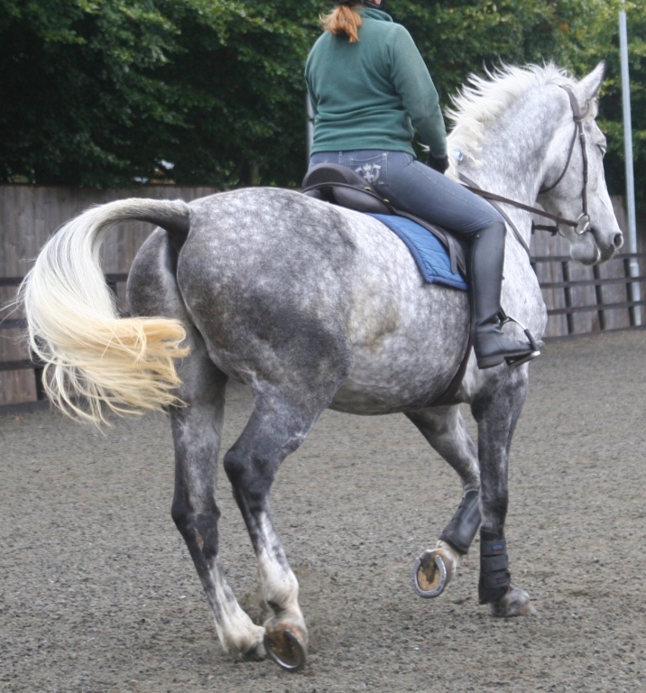 The tail is swishing repeatedly and the eyelids are closed