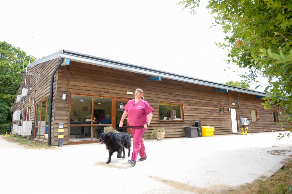 Cave Veterinary Specialists awarded hospital status by RCVS / Veterinary Industry News / VetClick