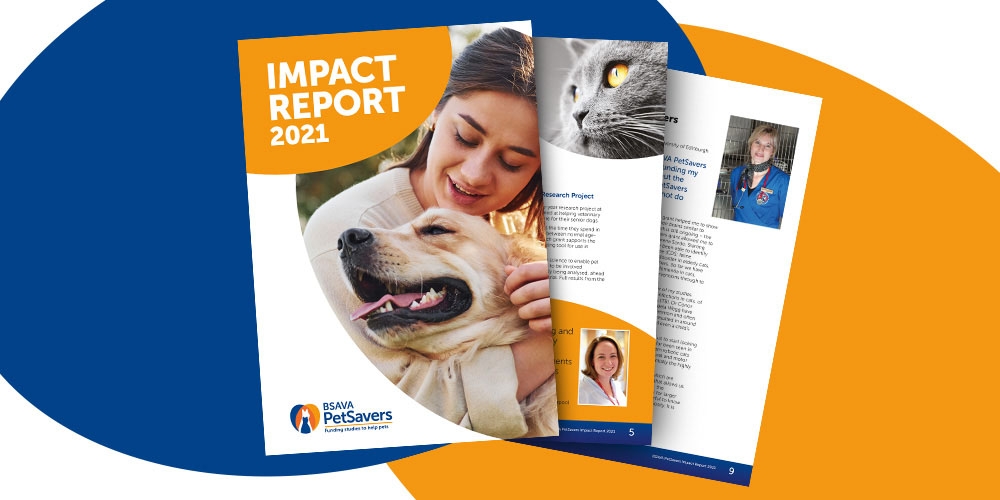 Impact Report 2021 graphic
