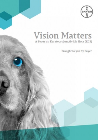 Vision Matters  A Focus on Keratoconjunctivitis Sicca Report